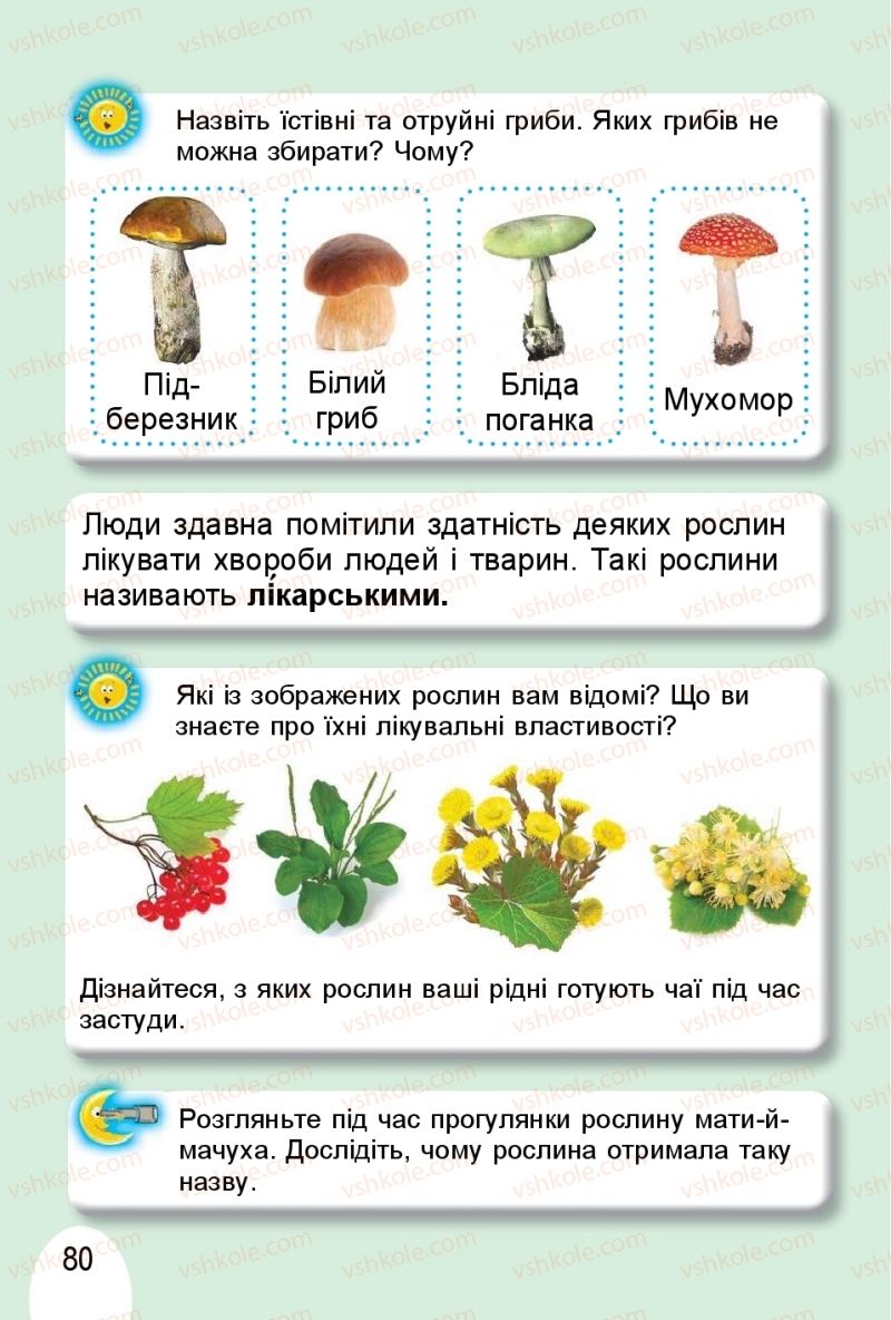 Страница 80 | Підручник Я досліджую світ 1 клас Т.Г. Гільберг, О.В. Гнатюк, Н.М. Павич 2018 2 частина