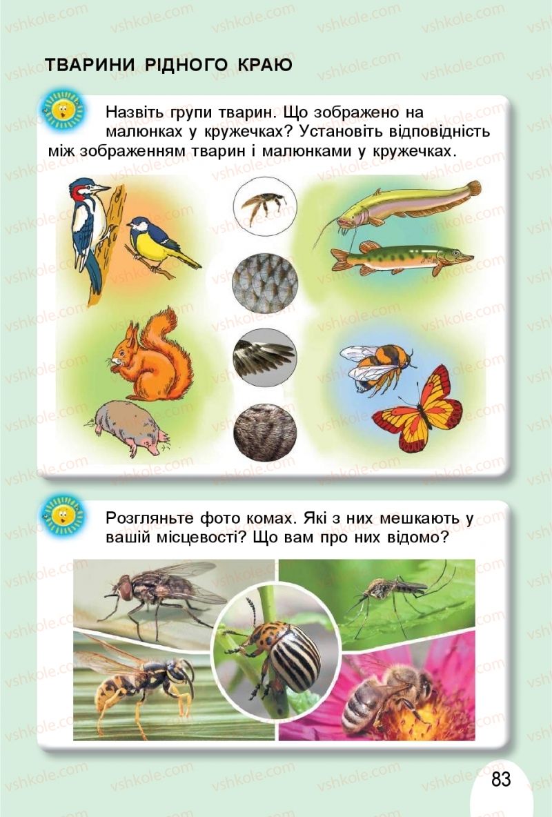Страница 83 | Підручник Я досліджую світ 1 клас Т.Г. Гільберг, О.В. Гнатюк, Н.М. Павич 2018 2 частина