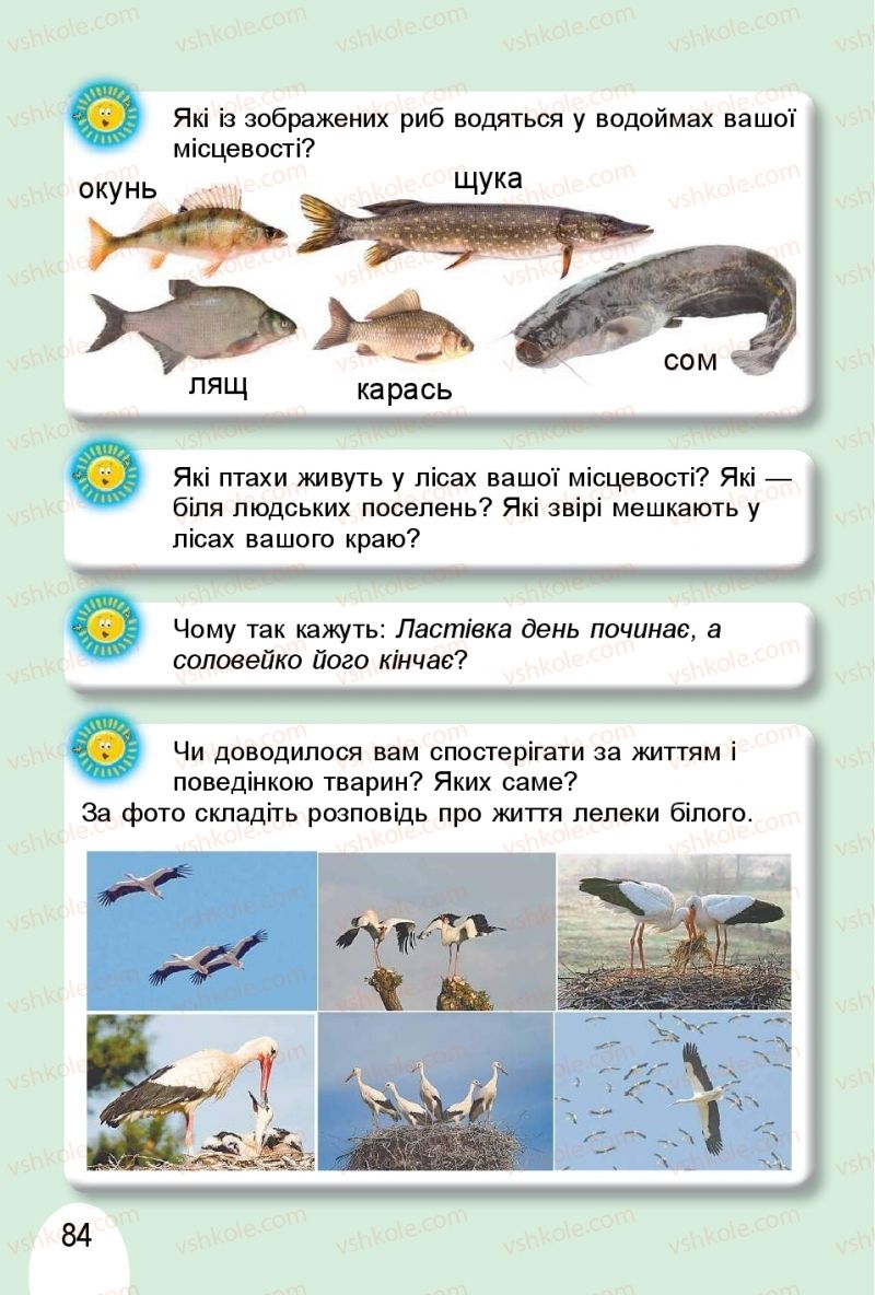 Страница 84 | Підручник Я досліджую світ 1 клас Т.Г. Гільберг, О.В. Гнатюк, Н.М. Павич 2018 2 частина