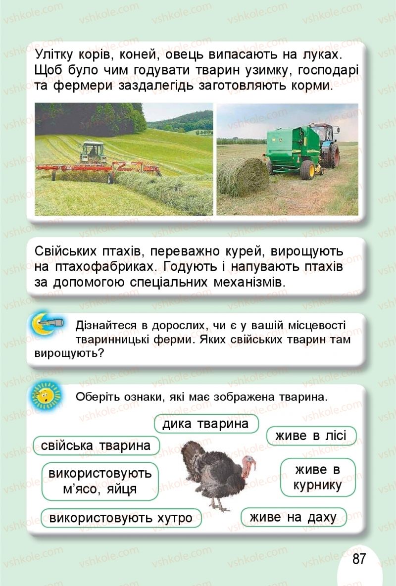 Страница 87 | Підручник Я досліджую світ 1 клас Т.Г. Гільберг, О.В. Гнатюк, Н.М. Павич 2018 2 частина