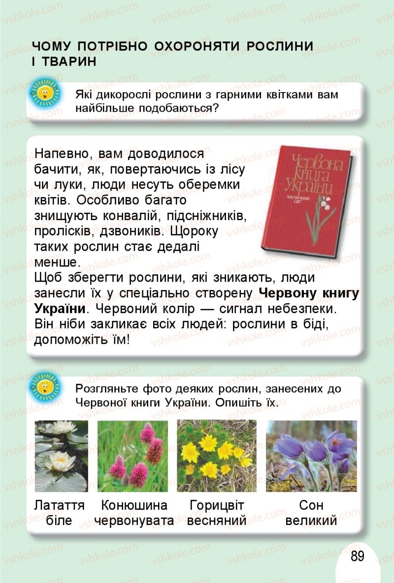 Страница 89 | Підручник Я досліджую світ 1 клас Т.Г. Гільберг, О.В. Гнатюк, Н.М. Павич 2018 2 частина