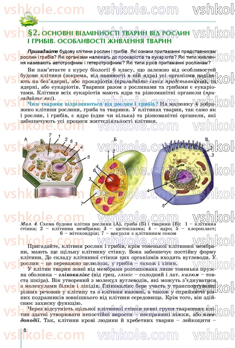 Страница 8 | Підручник Біологія 7 клас Л.І. Остапченко, П.Г. Балан, В.В. Серебряков, Н.Ю. Матяш 2020