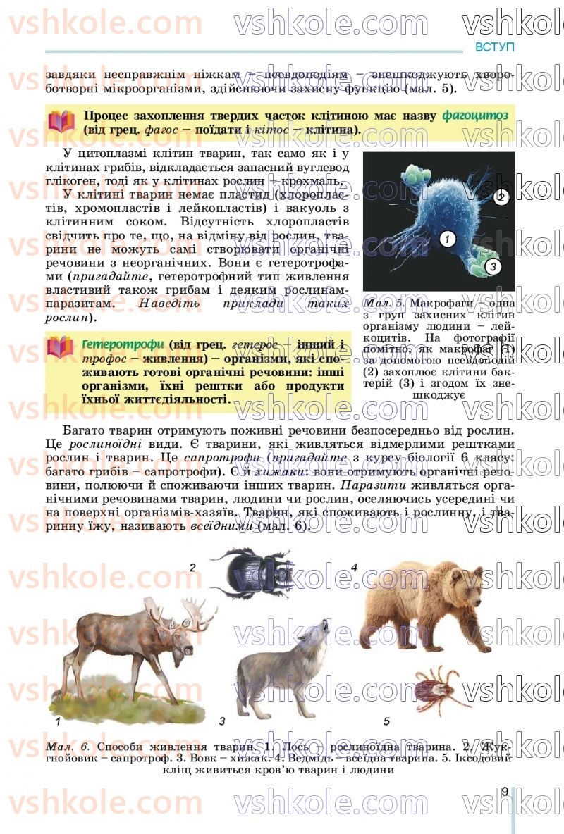 Страница 9 | Підручник Біологія 7 клас Л.І. Остапченко, П.Г. Балан, В.В. Серебряков, Н.Ю. Матяш 2020