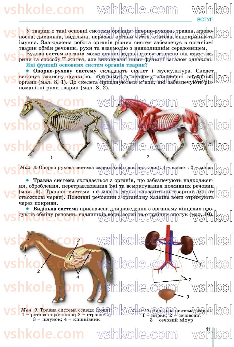 Страница 11 | Підручник Біологія 7 клас Л.І. Остапченко, П.Г. Балан, В.В. Серебряков, Н.Ю. Матяш 2020