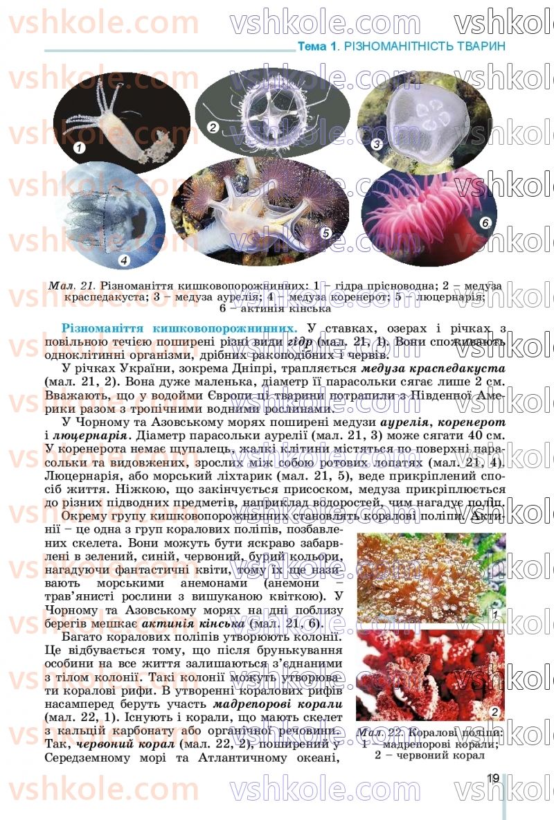 Страница 19 | Підручник Біологія 7 клас Л.І. Остапченко, П.Г. Балан, В.В. Серебряков, Н.Ю. Матяш 2020