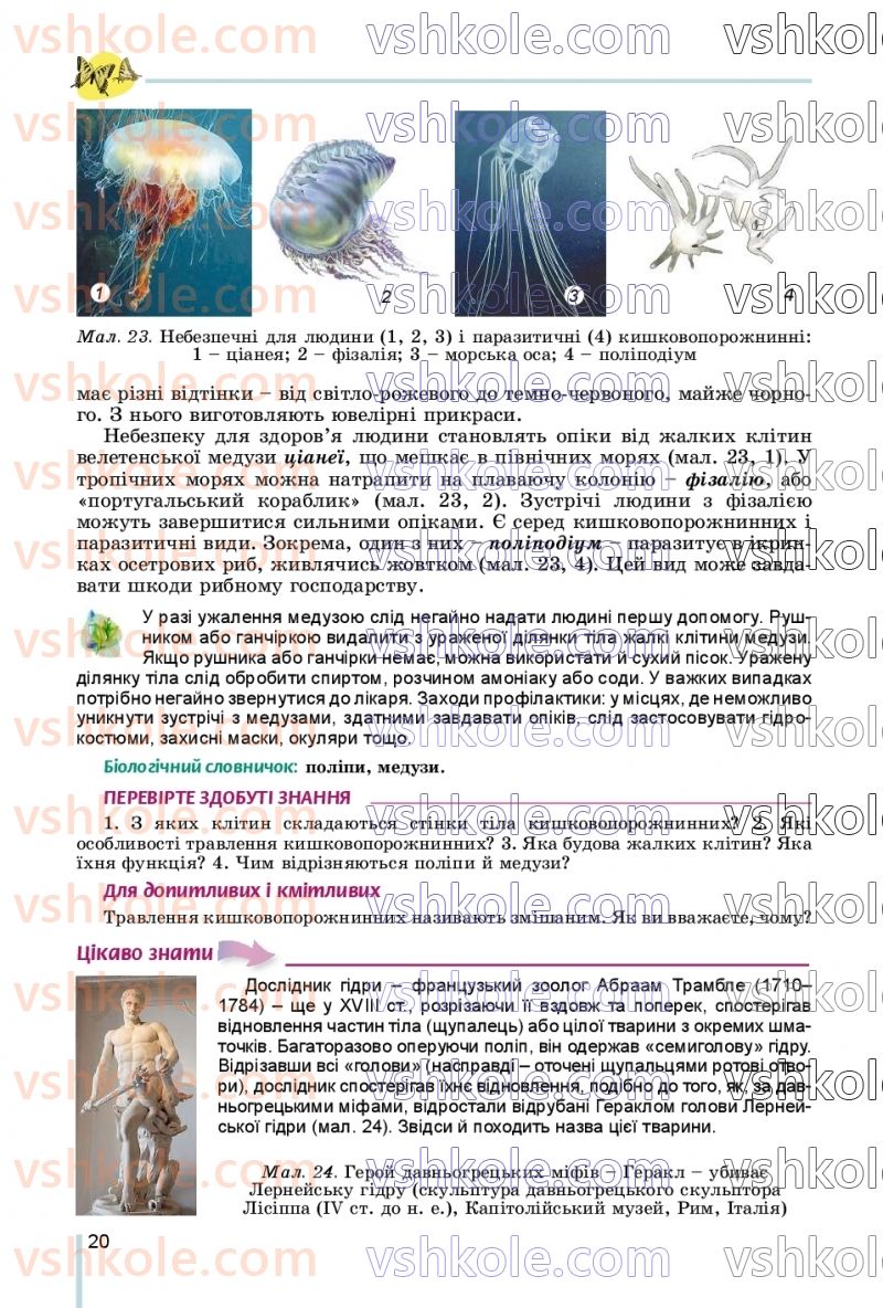 Страница 20 | Підручник Біологія 7 клас Л.І. Остапченко, П.Г. Балан, В.В. Серебряков, Н.Ю. Матяш 2020