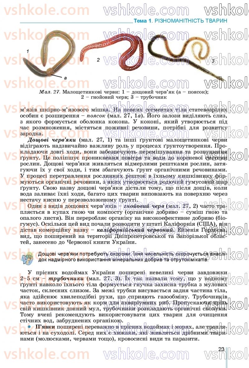Страница 23 | Підручник Біологія 7 клас Л.І. Остапченко, П.Г. Балан, В.В. Серебряков, Н.Ю. Матяш 2020