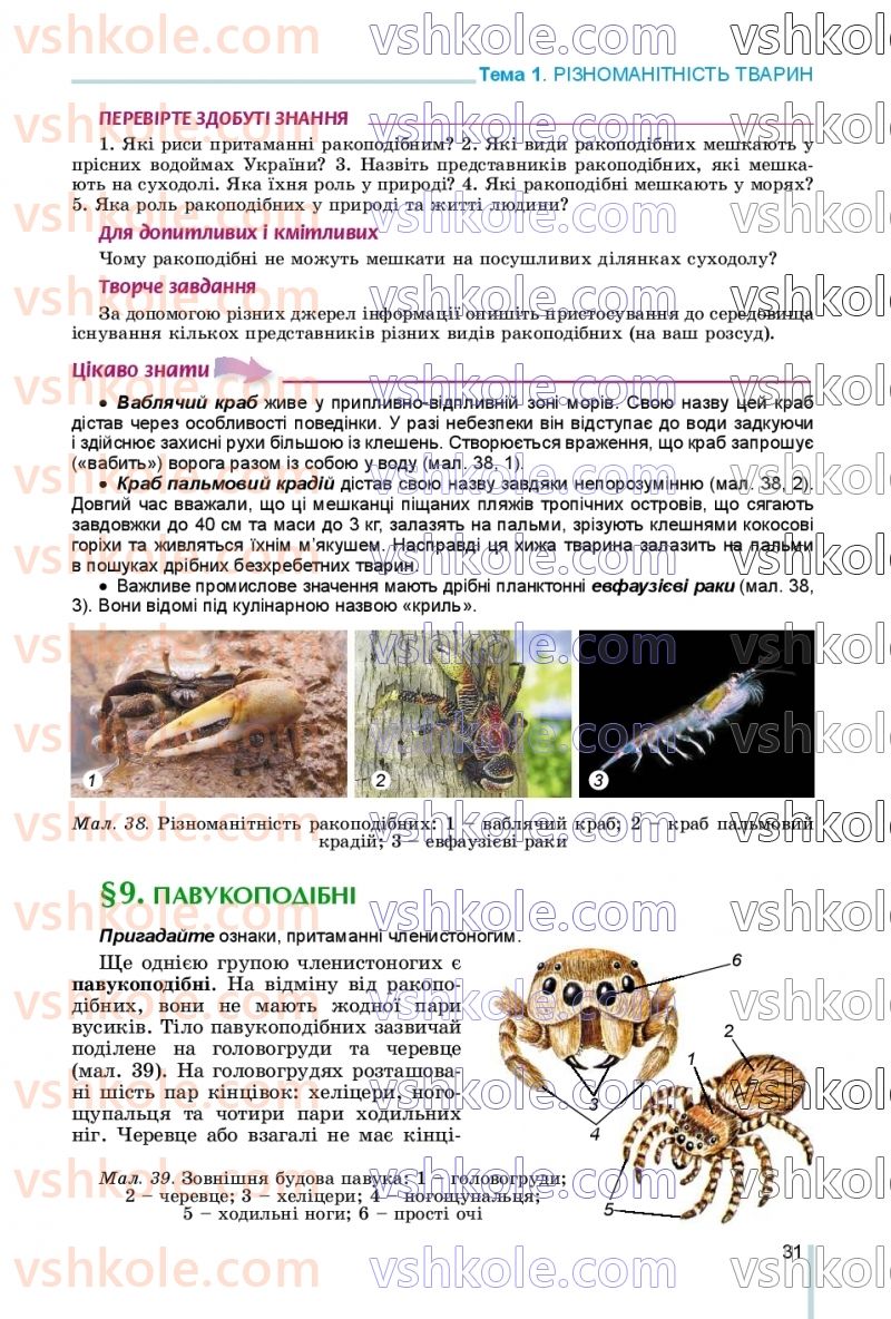 Страница 31 | Підручник Біологія 7 клас Л.І. Остапченко, П.Г. Балан, В.В. Серебряков, Н.Ю. Матяш 2020