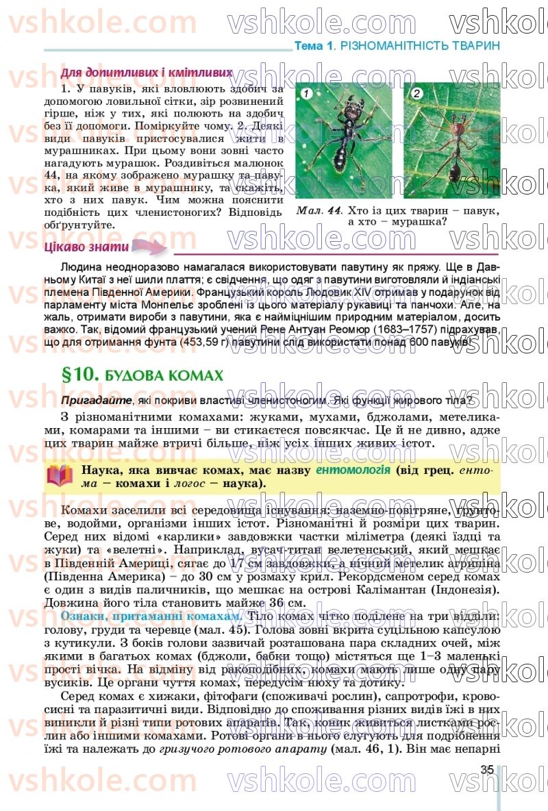 Страница 35 | Підручник Біологія 7 клас Л.І. Остапченко, П.Г. Балан, В.В. Серебряков, Н.Ю. Матяш 2020