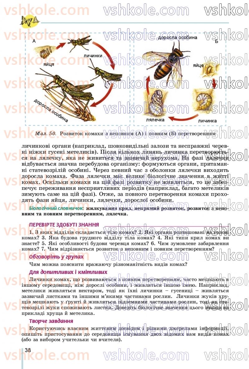 Страница 38 | Підручник Біологія 7 клас Л.І. Остапченко, П.Г. Балан, В.В. Серебряков, Н.Ю. Матяш 2020
