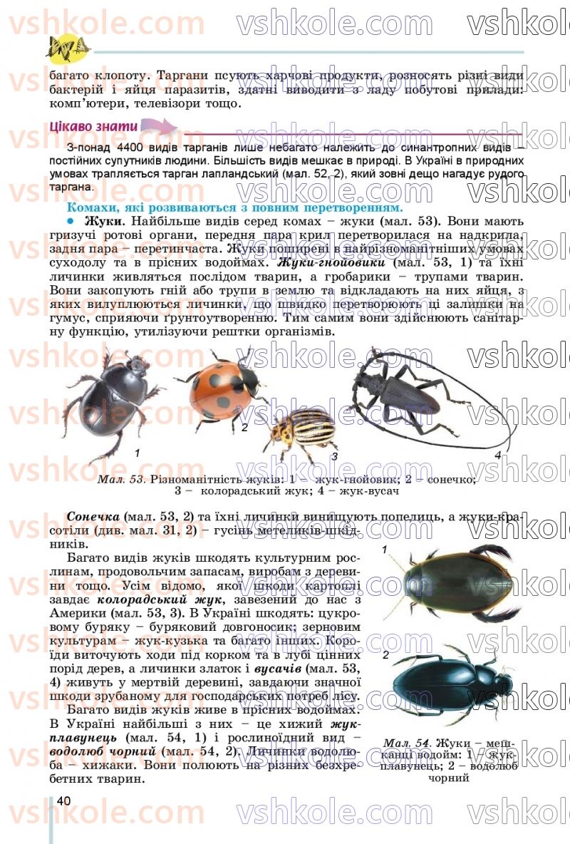 Страница 40 | Підручник Біологія 7 клас Л.І. Остапченко, П.Г. Балан, В.В. Серебряков, Н.Ю. Матяш 2020