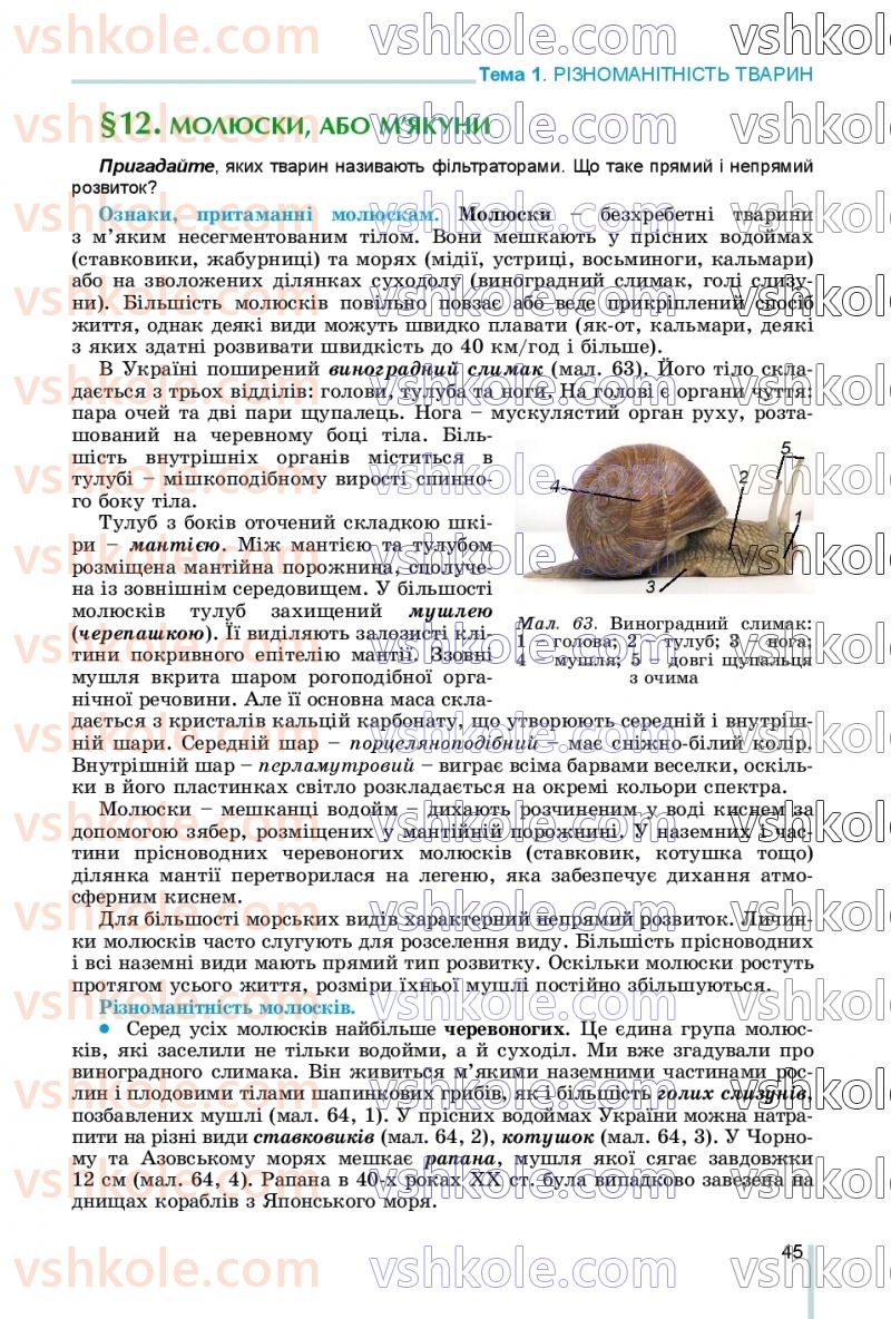 Страница 45 | Підручник Біологія 7 клас Л.І. Остапченко, П.Г. Балан, В.В. Серебряков, Н.Ю. Матяш 2020