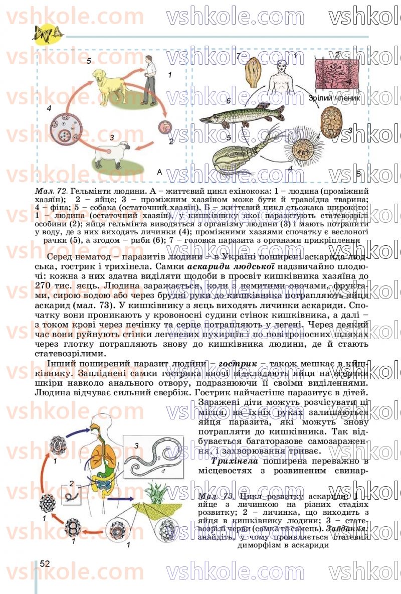 Страница 52 | Підручник Біологія 7 клас Л.І. Остапченко, П.Г. Балан, В.В. Серебряков, Н.Ю. Матяш 2020