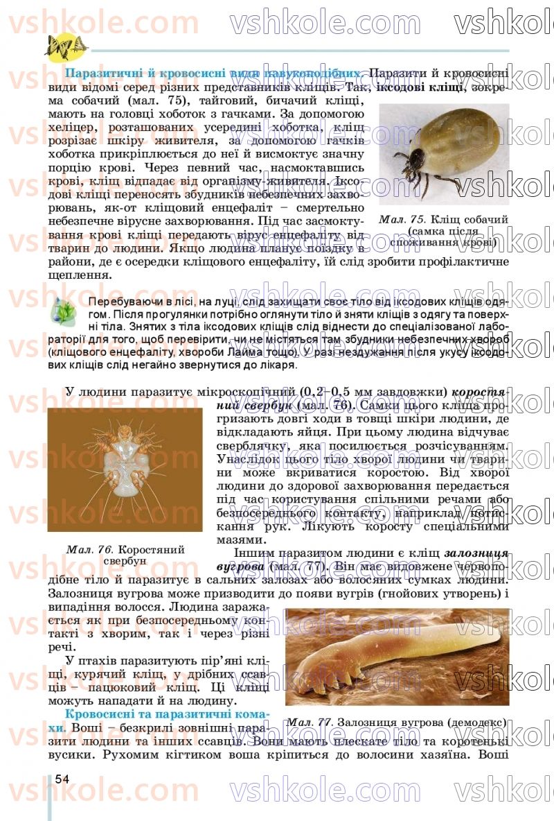 Страница 54 | Підручник Біологія 7 клас Л.І. Остапченко, П.Г. Балан, В.В. Серебряков, Н.Ю. Матяш 2020