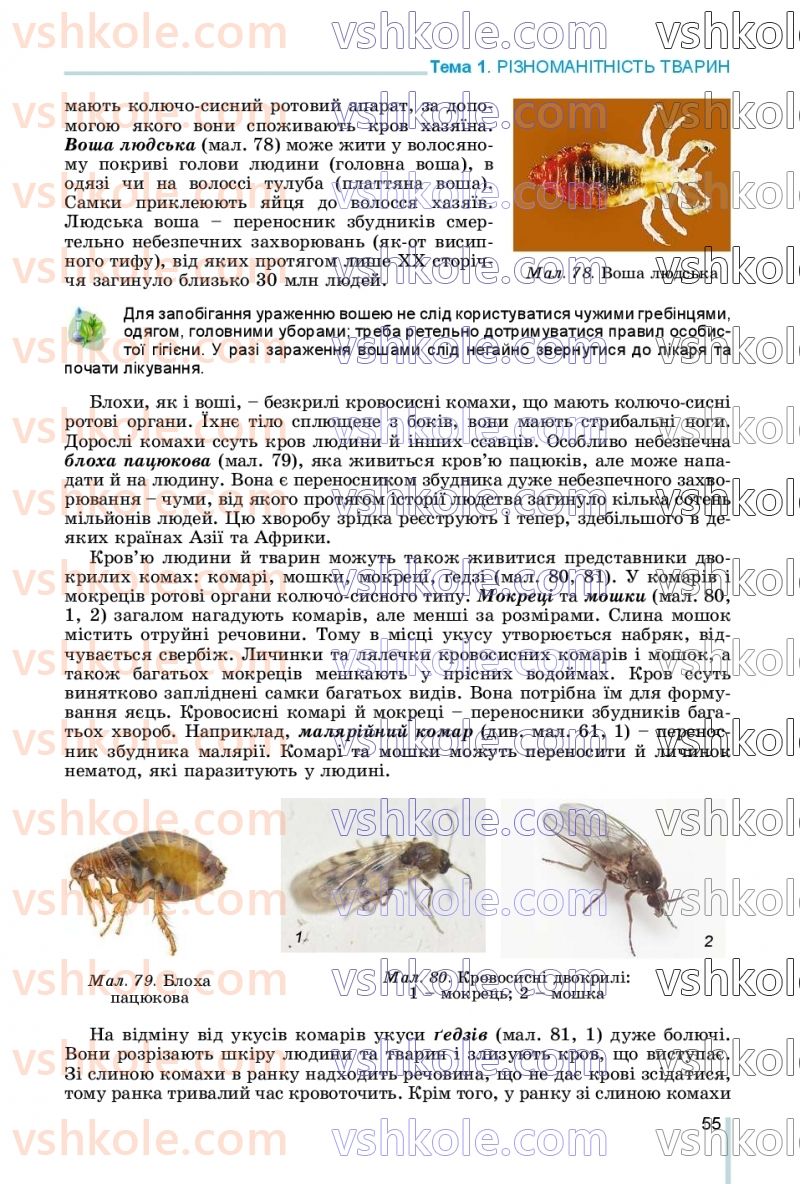 Страница 55 | Підручник Біологія 7 клас Л.І. Остапченко, П.Г. Балан, В.В. Серебряков, Н.Ю. Матяш 2020