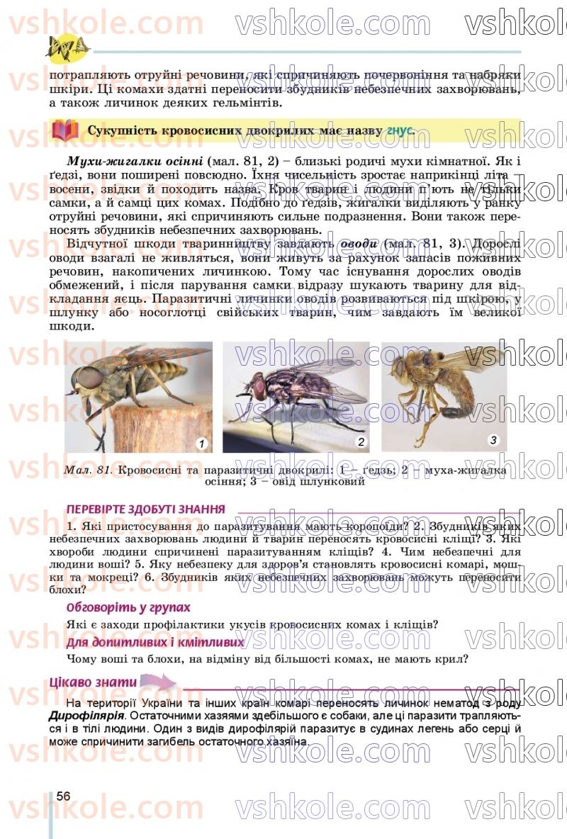 Страница 56 | Підручник Біологія 7 клас Л.І. Остапченко, П.Г. Балан, В.В. Серебряков, Н.Ю. Матяш 2020