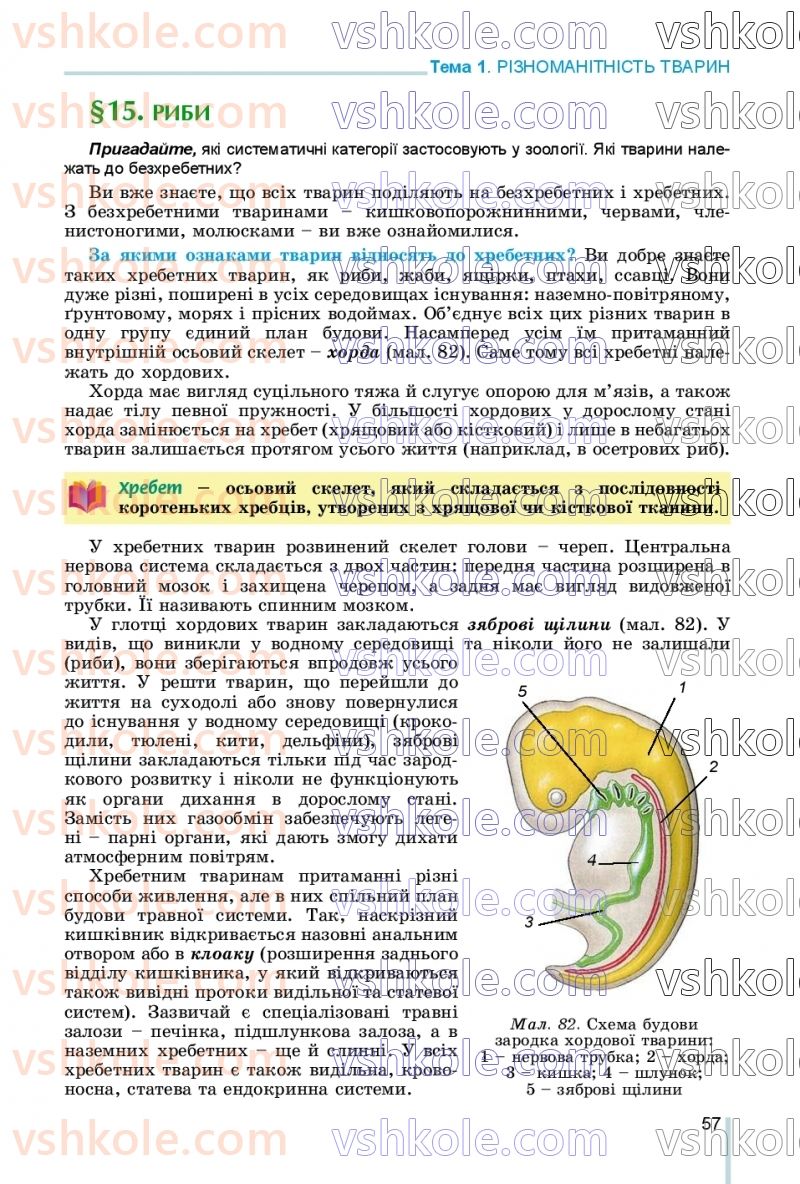 Страница 57 | Підручник Біологія 7 клас Л.І. Остапченко, П.Г. Балан, В.В. Серебряков, Н.Ю. Матяш 2020