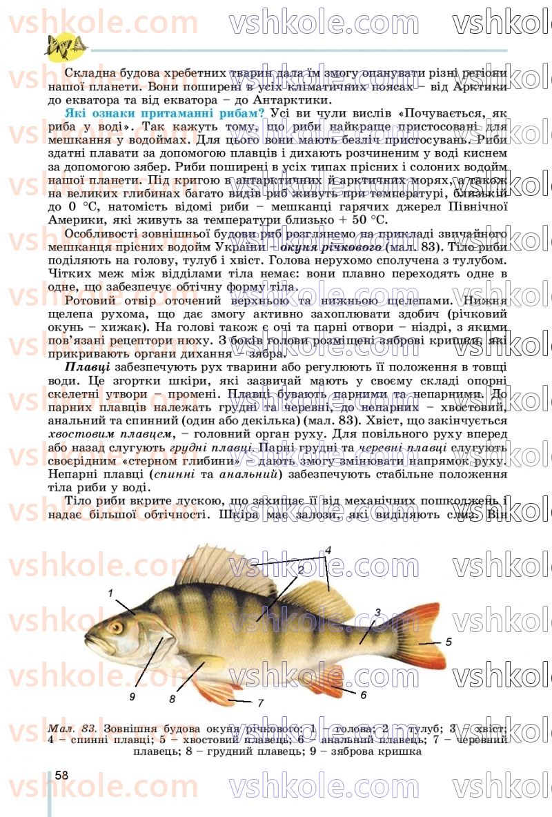 Страница 58 | Підручник Біологія 7 клас Л.І. Остапченко, П.Г. Балан, В.В. Серебряков, Н.Ю. Матяш 2020