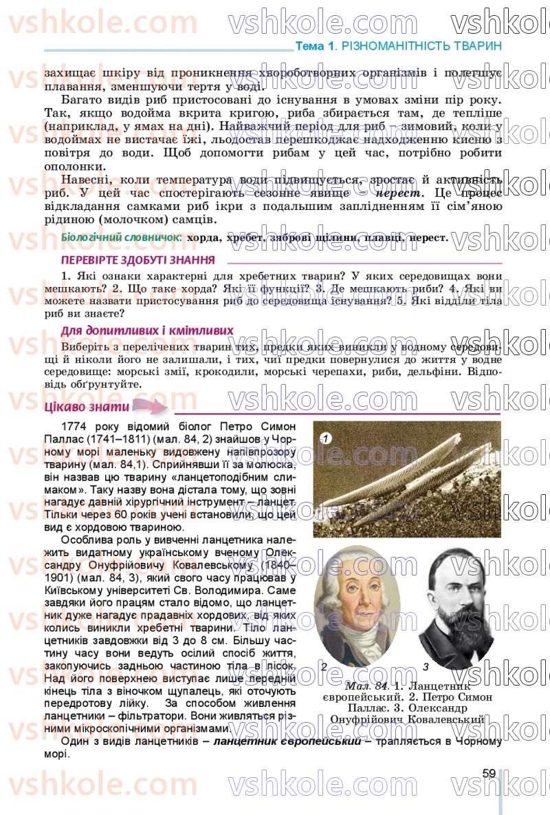 Страница 59 | Підручник Біологія 7 клас Л.І. Остапченко, П.Г. Балан, В.В. Серебряков, Н.Ю. Матяш 2020