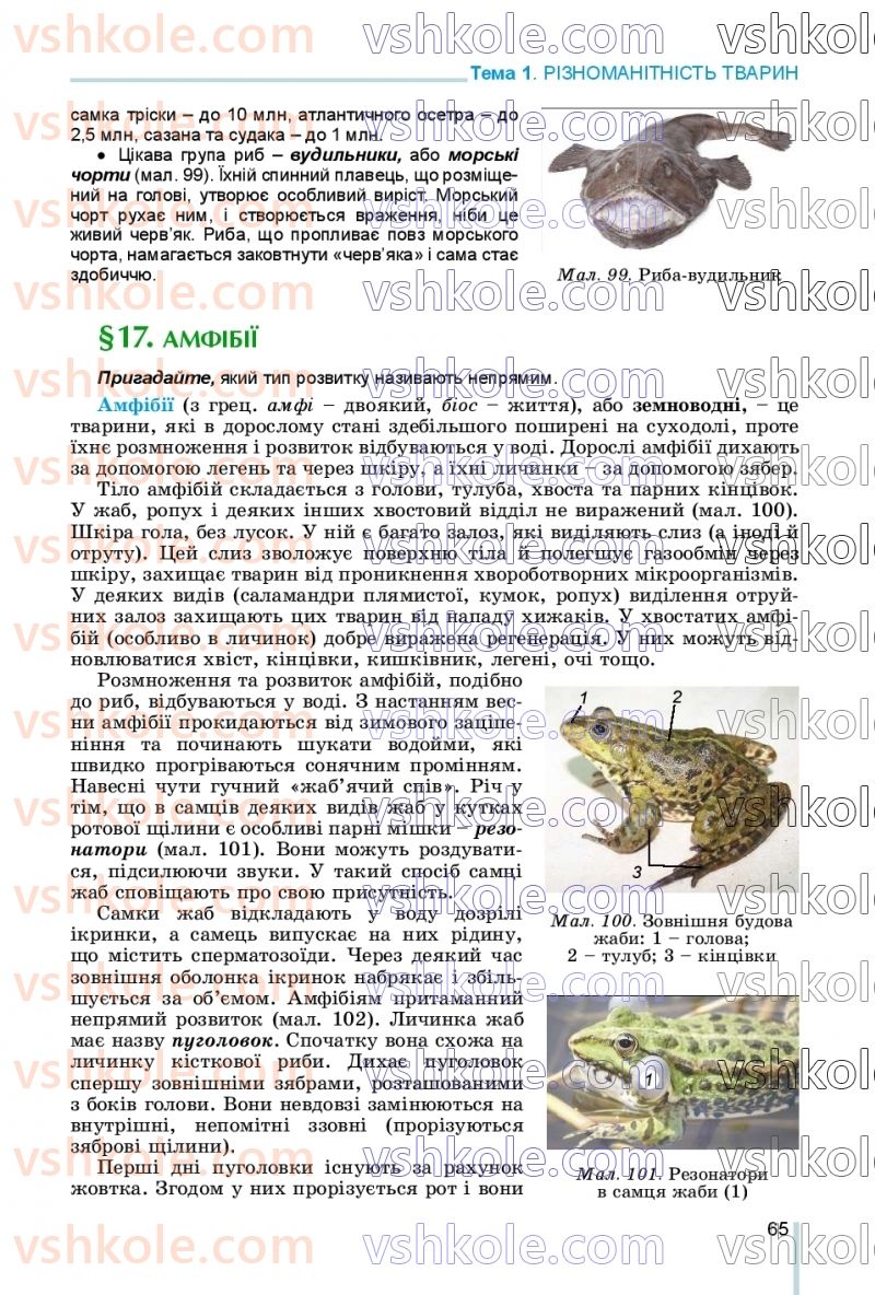 Страница 65 | Підручник Біологія 7 клас Л.І. Остапченко, П.Г. Балан, В.В. Серебряков, Н.Ю. Матяш 2020