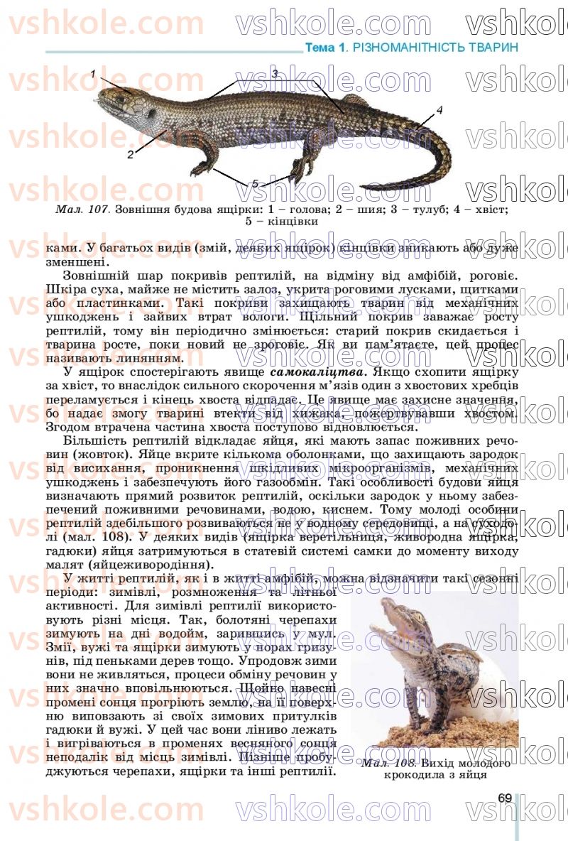 Страница 69 | Підручник Біологія 7 клас Л.І. Остапченко, П.Г. Балан, В.В. Серебряков, Н.Ю. Матяш 2020