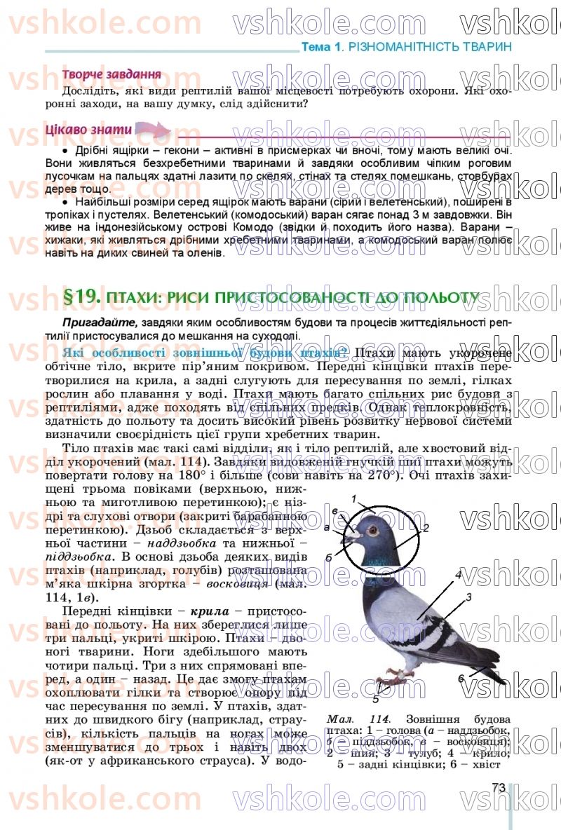 Страница 73 | Підручник Біологія 7 клас Л.І. Остапченко, П.Г. Балан, В.В. Серебряков, Н.Ю. Матяш 2020