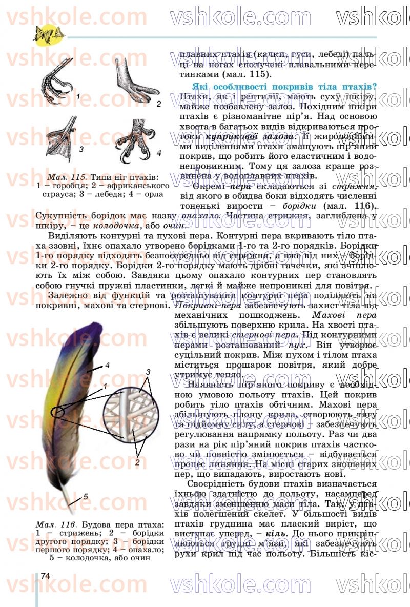 Страница 74 | Підручник Біологія 7 клас Л.І. Остапченко, П.Г. Балан, В.В. Серебряков, Н.Ю. Матяш 2020
