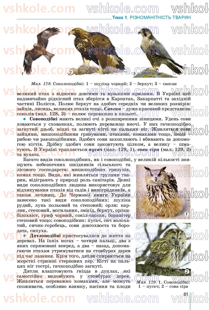 Страница 81 | Підручник Біологія 7 клас Л.І. Остапченко, П.Г. Балан, В.В. Серебряков, Н.Ю. Матяш 2020