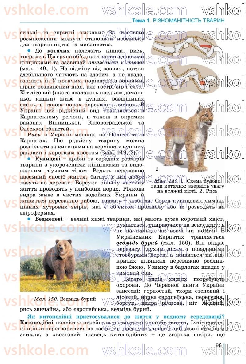 Страница 95 | Підручник Біологія 7 клас Л.І. Остапченко, П.Г. Балан, В.В. Серебряков, Н.Ю. Матяш 2020