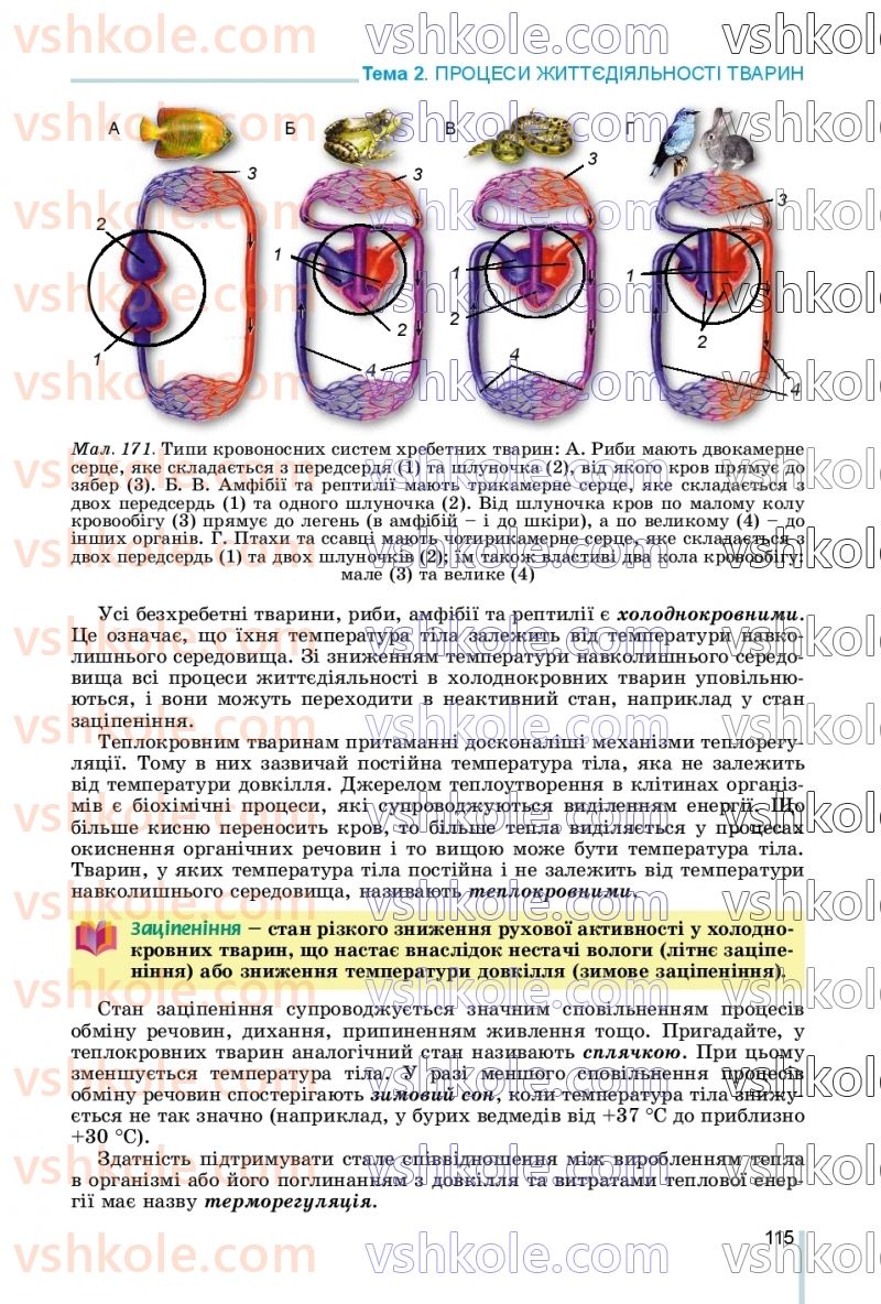 Страница 115 | Підручник Біологія 7 клас Л.І. Остапченко, П.Г. Балан, В.В. Серебряков, Н.Ю. Матяш 2020