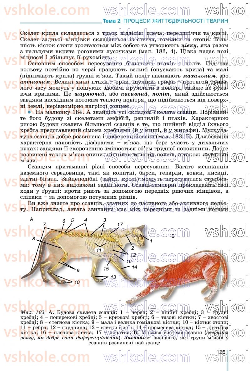 Страница 125 | Підручник Біологія 7 клас Л.І. Остапченко, П.Г. Балан, В.В. Серебряков, Н.Ю. Матяш 2020
