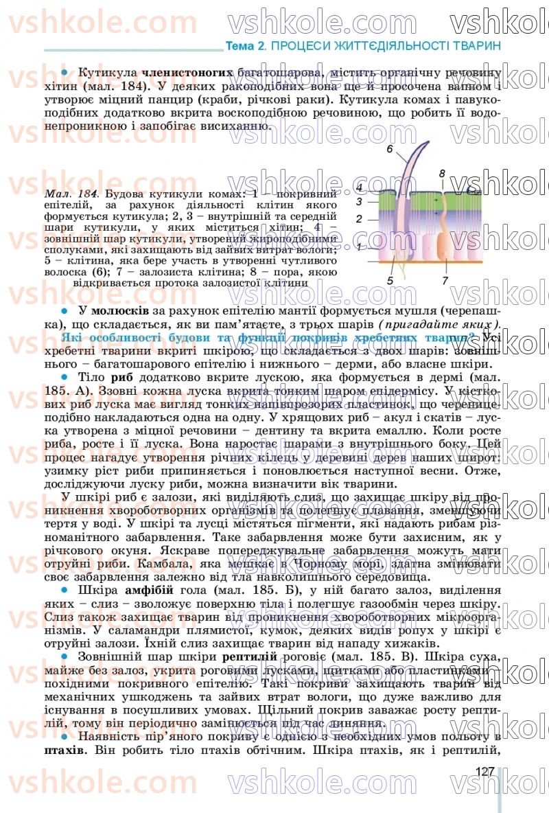 Страница 127 | Підручник Біологія 7 клас Л.І. Остапченко, П.Г. Балан, В.В. Серебряков, Н.Ю. Матяш 2020