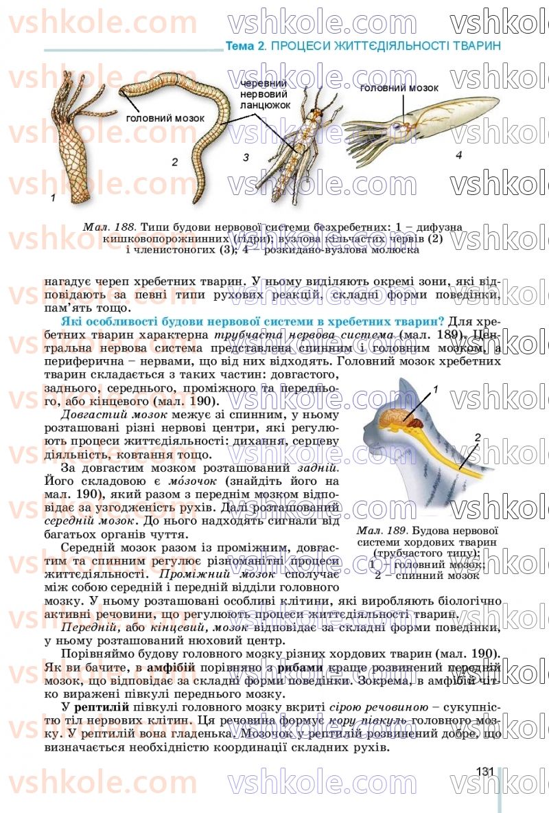 Страница 131 | Підручник Біологія 7 клас Л.І. Остапченко, П.Г. Балан, В.В. Серебряков, Н.Ю. Матяш 2020