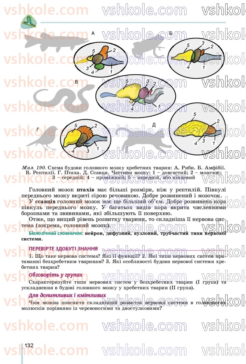 Страница 132 | Підручник Біологія 7 клас Л.І. Остапченко, П.Г. Балан, В.В. Серебряков, Н.Ю. Матяш 2020