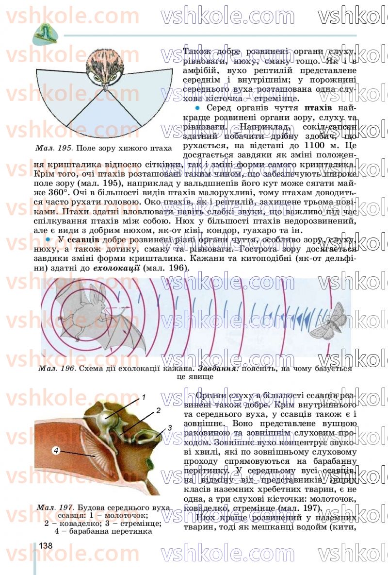 Страница 138 | Підручник Біологія 7 клас Л.І. Остапченко, П.Г. Балан, В.В. Серебряков, Н.Ю. Матяш 2020