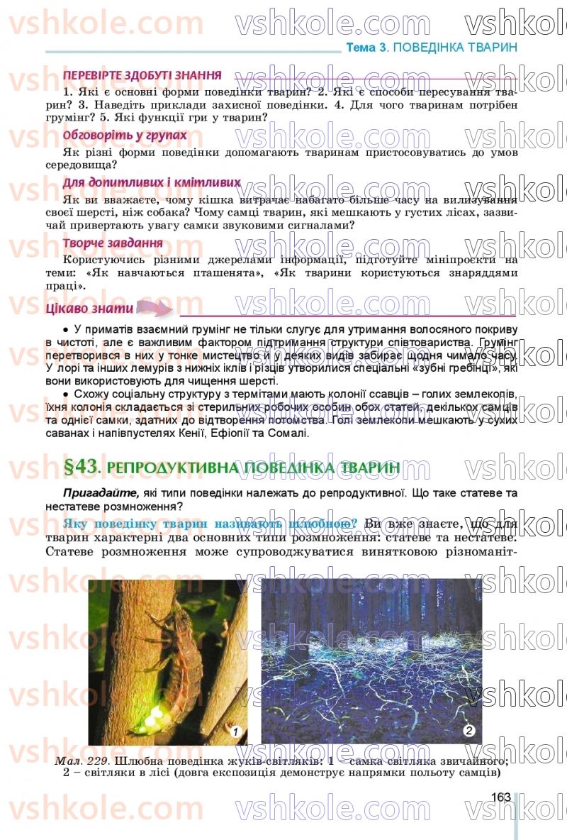 Страница 163 | Підручник Біологія 7 клас Л.І. Остапченко, П.Г. Балан, В.В. Серебряков, Н.Ю. Матяш 2020