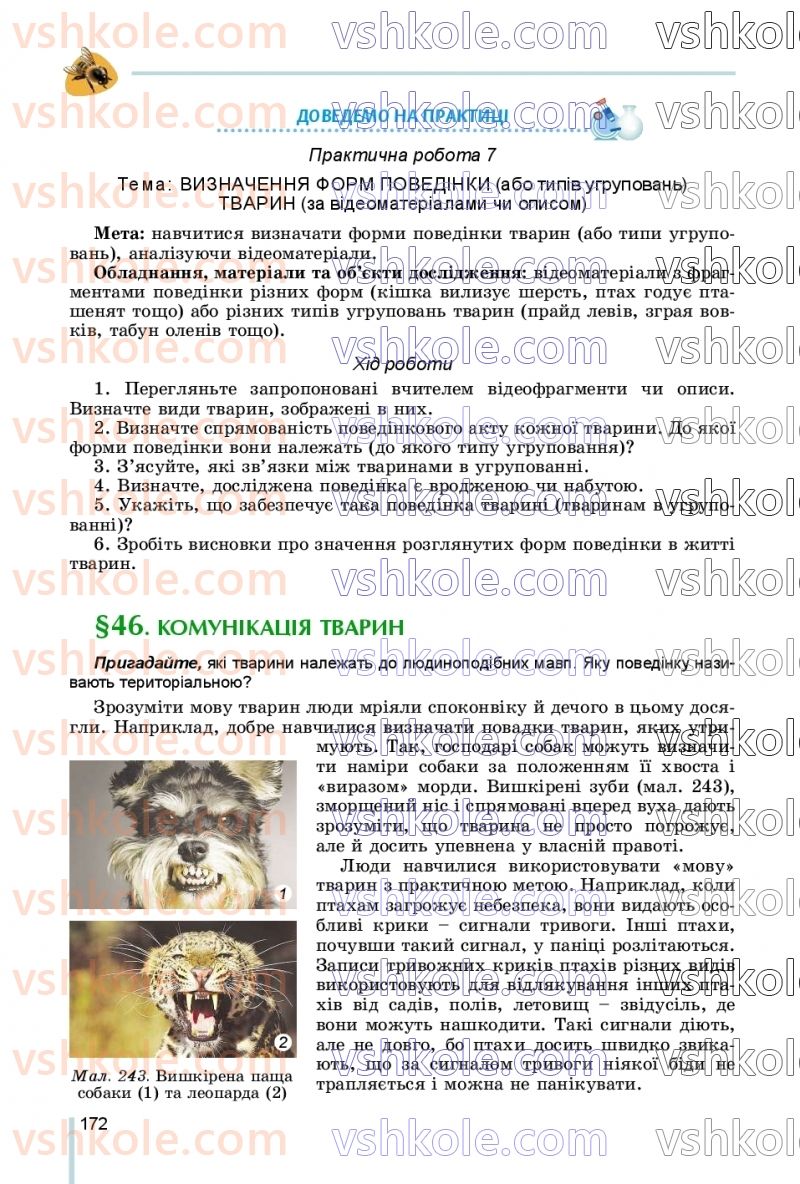 Страница 172 | Підручник Біологія 7 клас Л.І. Остапченко, П.Г. Балан, В.В. Серебряков, Н.Ю. Матяш 2020