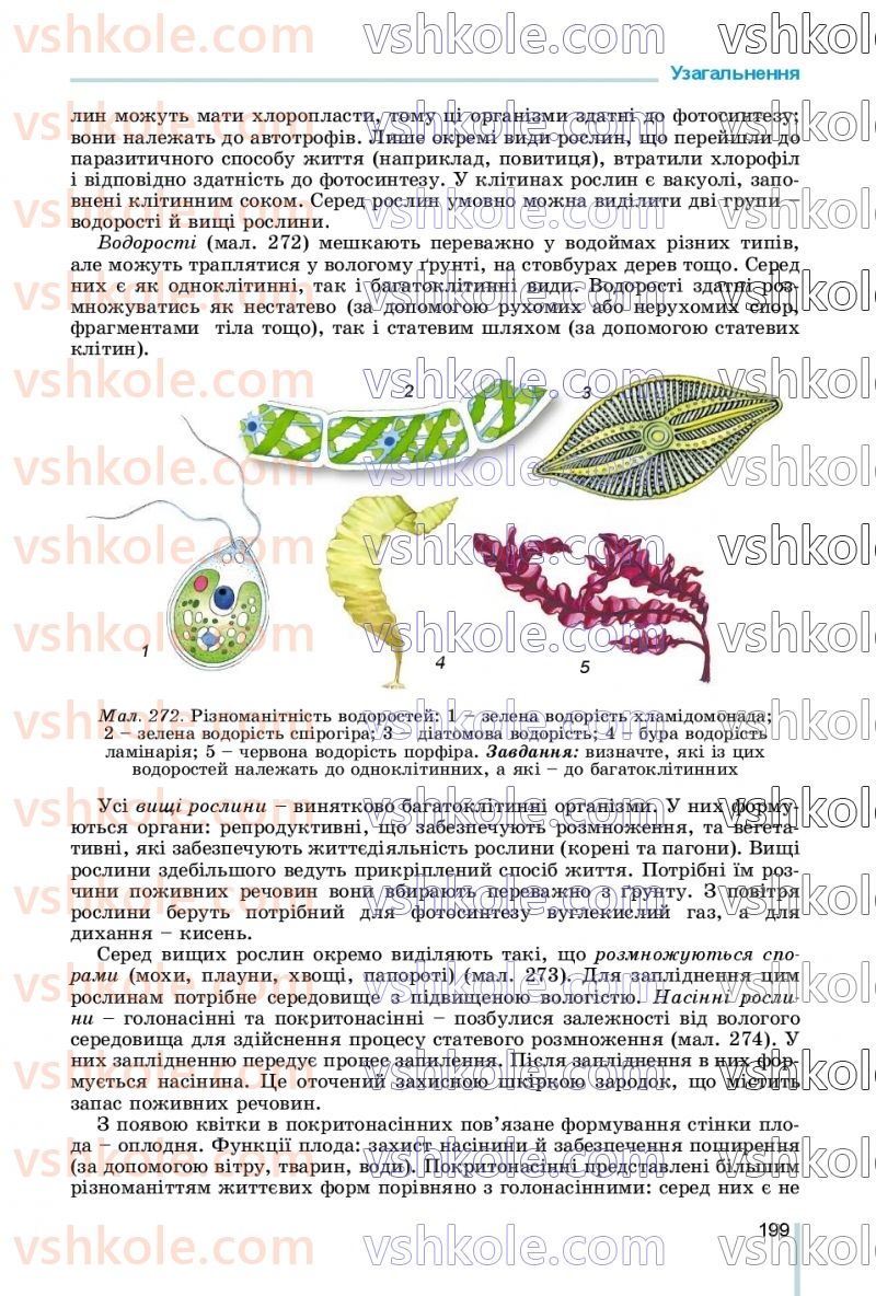 Страница 199 | Підручник Біологія 7 клас Л.І. Остапченко, П.Г. Балан, В.В. Серебряков, Н.Ю. Матяш 2020
