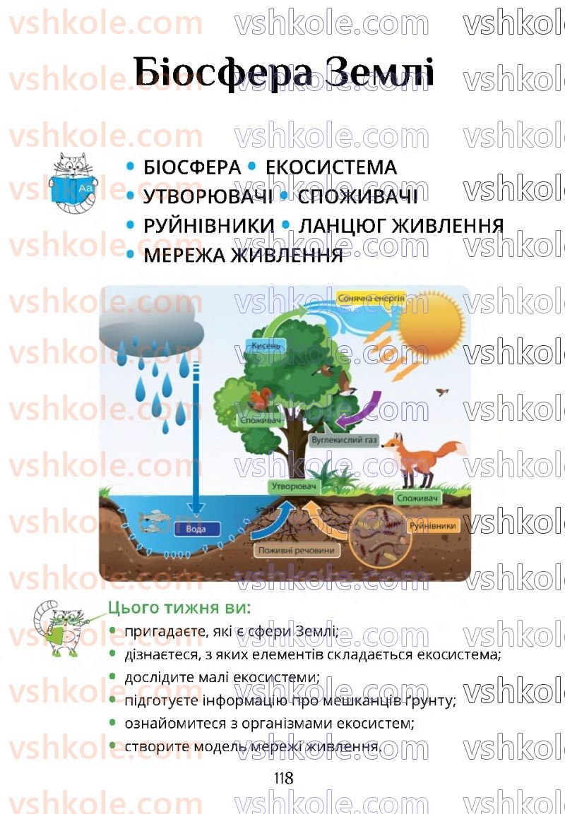 Страница 118 | Підручник Я досліджую світ 4 клас Т.В. Воронцова 2021 1 частина