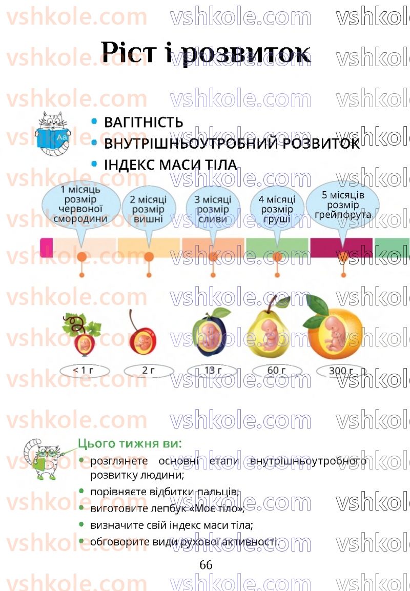 Страница 66 | Підручник Я досліджую світ 4 клас Т.В. Воронцова 2021 2 частина