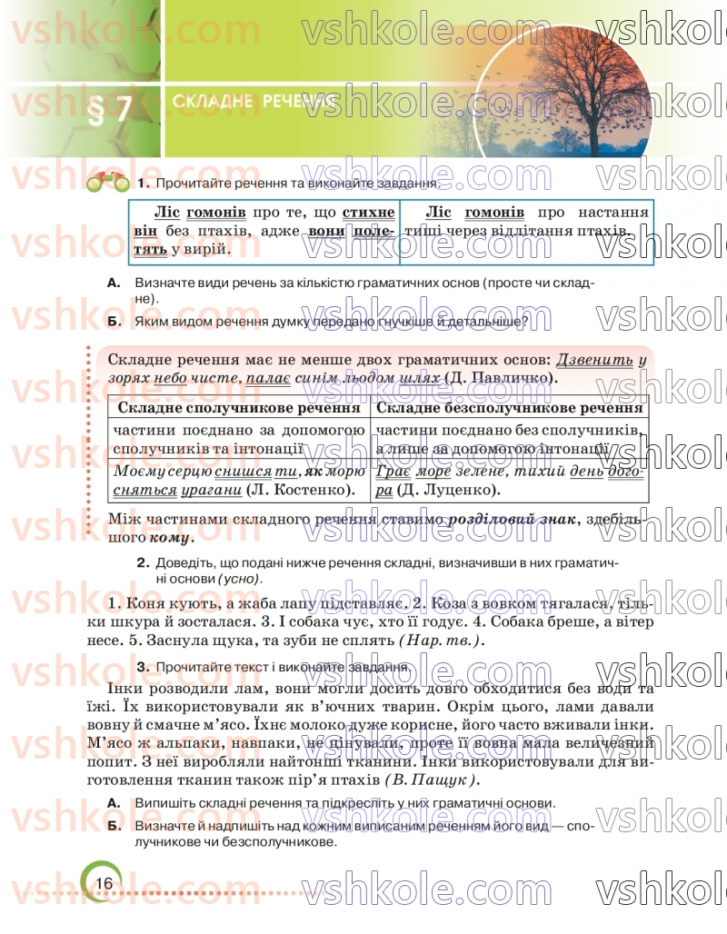 Страница 16 | Підручник Українська мова 6 клас О.М. Авраменко 2023