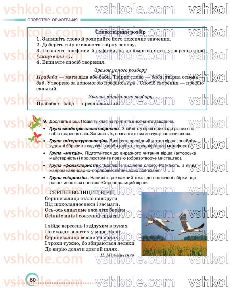 Страница 60 | Підручник Українська мова 6 клас О.М. Авраменко 2023