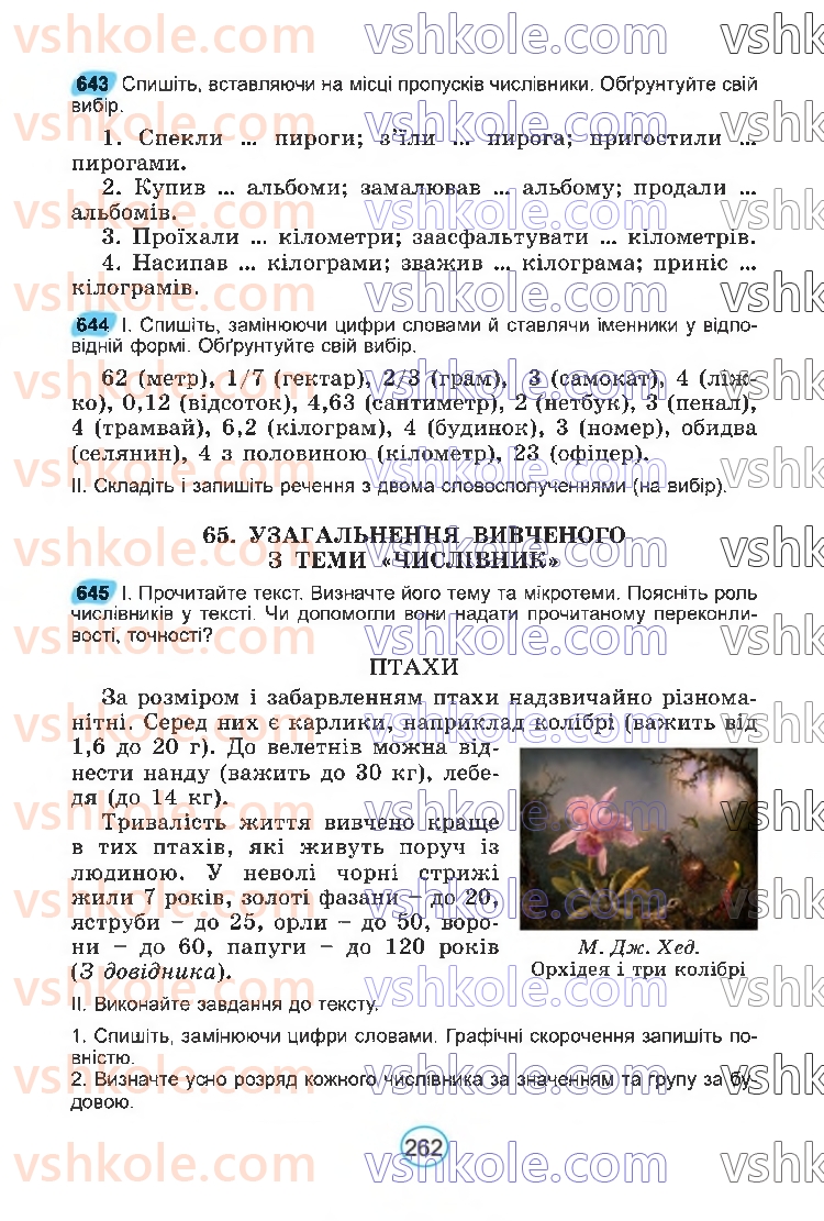 Страница 262 | Підручник Українська мова 6 клас В.В. Заболотний, О.В. Заболотний 2023