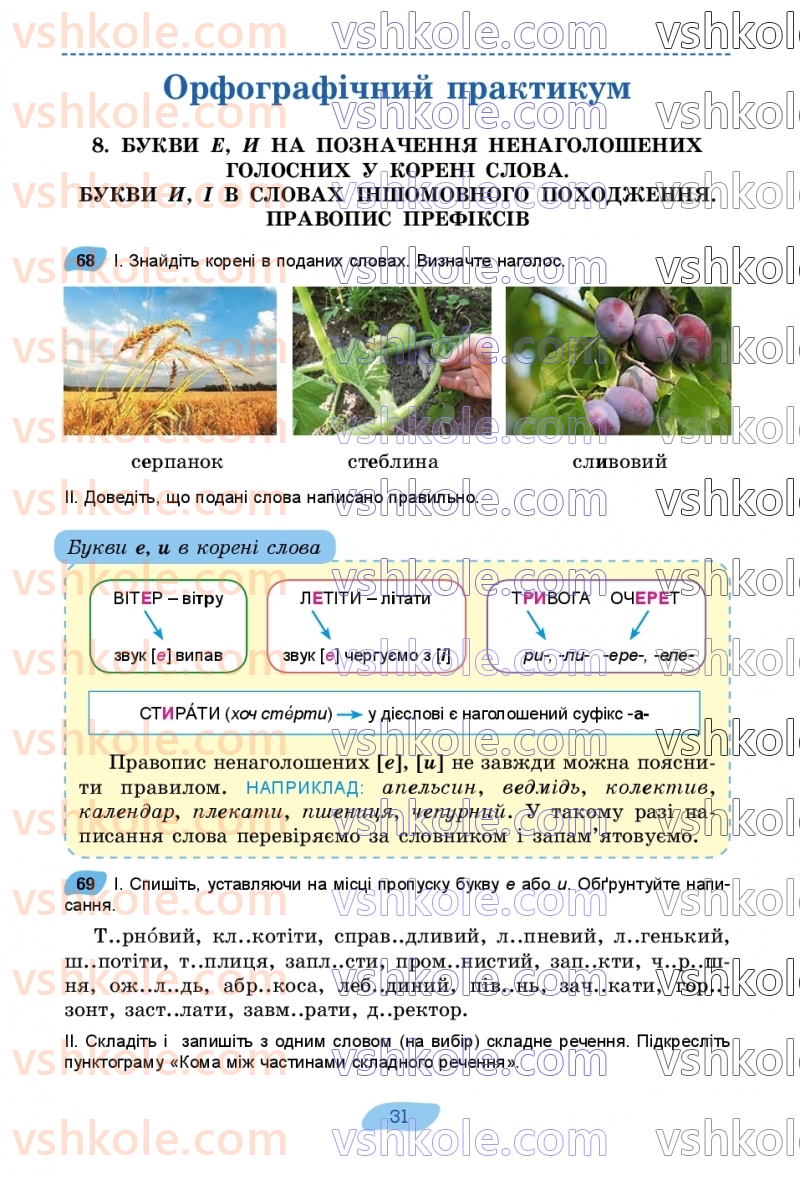 Страница 31 | Підручник Українська мова 7 клас В.В. Заболотний, О.В. Заболотний 2024