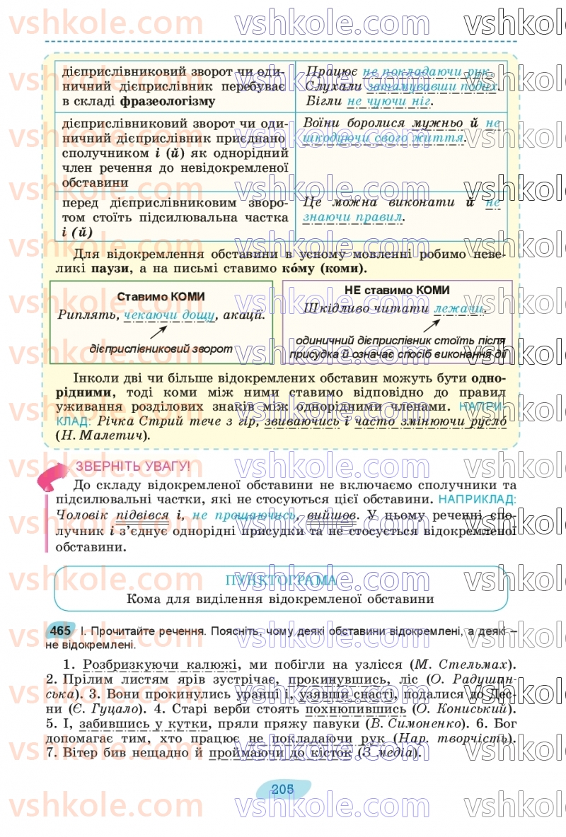 Страница 205 | Підручник Українська мова 8 клас В.В. Заболотний, О.В. Заболотний 2025