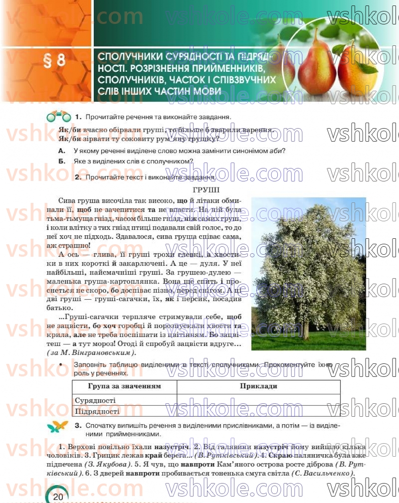 Страница 20 | Підручник Українська мова 8 клас О.М. Авраменко 2025