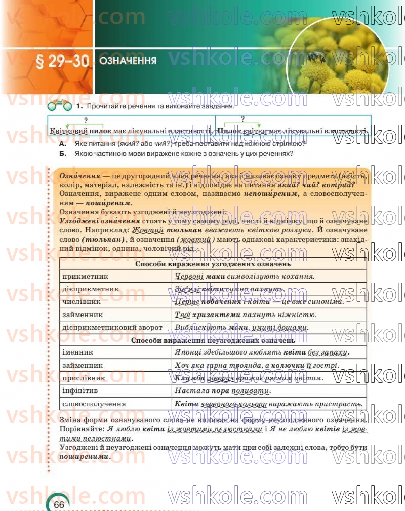Страница 66 | Підручник Українська мова 8 клас О.М. Авраменко 2025