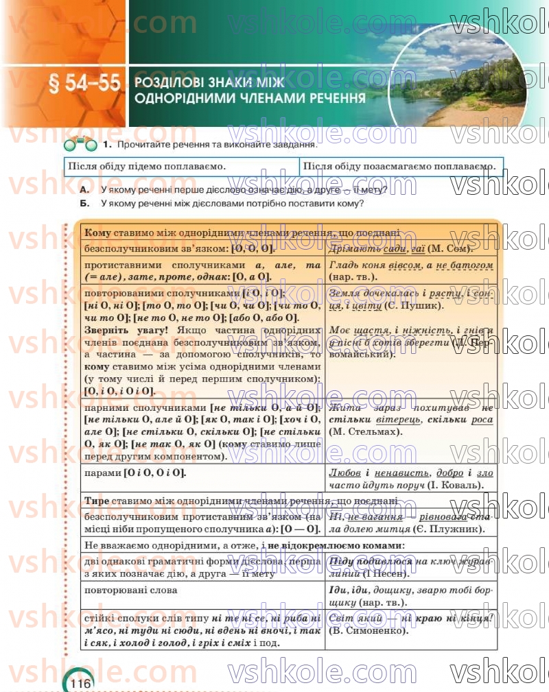 Страница 117 | Підручник Українська мова 8 клас О.М. Авраменко 2025