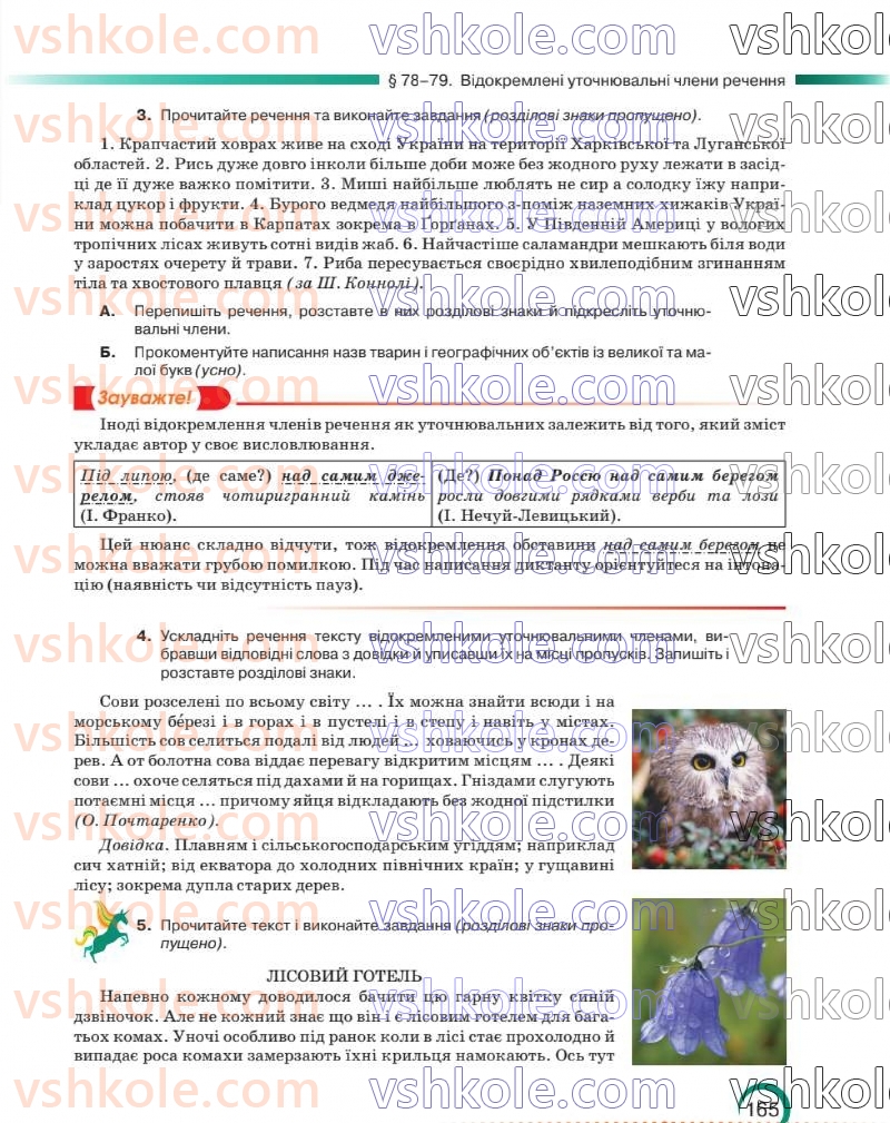 Страница 166 | Підручник Українська мова 8 клас О.М. Авраменко 2025