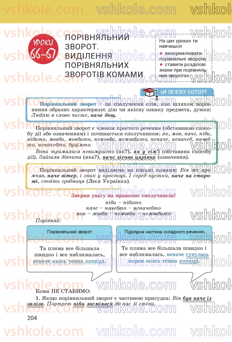 Страница 204 | Підручник Українська мова 8 клас А.В. Онатій, Т.П. Ткачук 2025